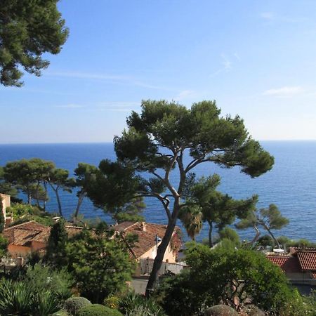 Les Bruyeres Bed & Breakfast Saint-Mandrier-sur-Mer Exterior photo